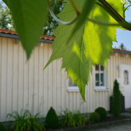 Gaestehaus Gaumenflug Am See Guenzburg Exterior photo